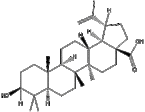 Betuak?? Birch bark extract  Betulinic acid