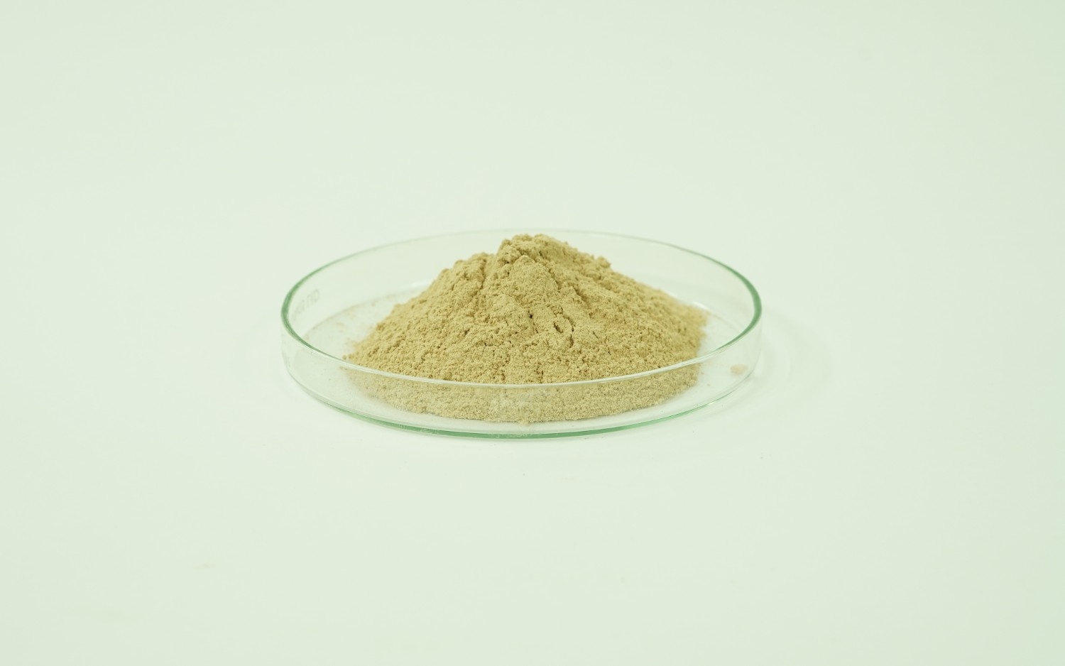 Ferrous Asparto Glycinate