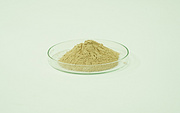 Ferrous Asparto Glycinate