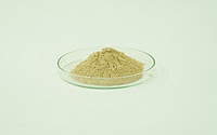 Ferrous Asparto Glycinate