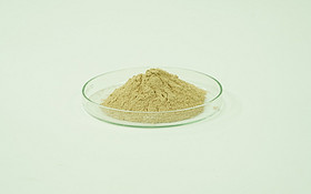 Ferrous Asparto Glycinate