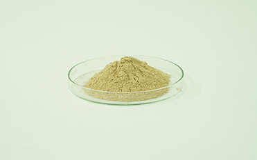 Ferrous Asparto Glycinate