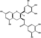 AkTea?  Green Tea Extract  Epigallocatechin gallate (EGCG)