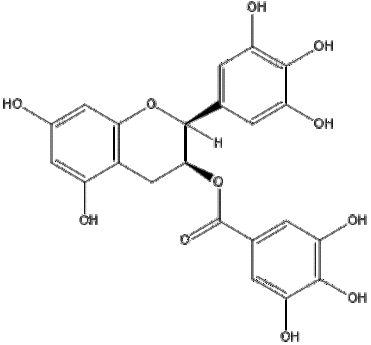 AkTea?  Green Tea Extract  Epigallocatechin gallate (EGCG)