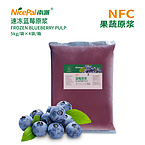 NFC Frozen Blueberry Pulp