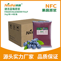 NFC Frozen Blueberry Pulp