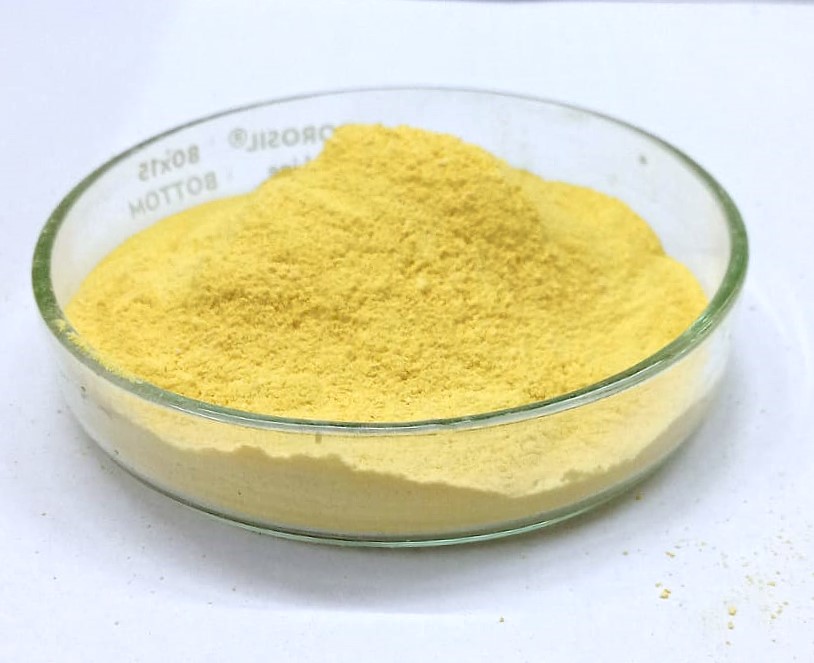 LIPOSOMAL FOLIC ACID