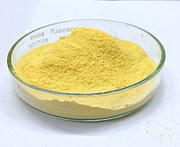 LIPOSOMAL FOLIC ACID