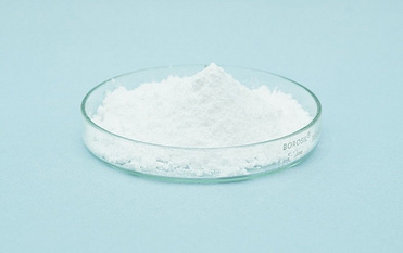 LIPOSOMAL MAGNESIUM