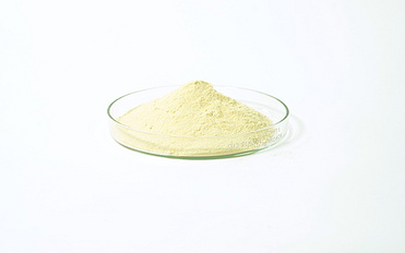 CALCIUM GLUCONATE