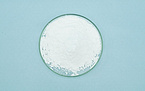 SODIUM BUTYRATE