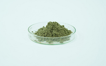 FERROUS BISGLYCINATE