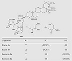Aescin (Horse Chestnut extract)