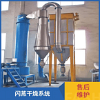 TaYaCn Drying Phthalocyanine dye XSG series flash evaporation rotary dryer