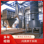 TaYaCn Drying ‌Red bean sprout XSG series flash evaporation rotary dryer