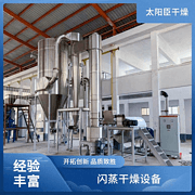 TaYaCn Drying Sprinkle stone yellow iron oxide yellow XSG series flash evaporation rotary dryer
