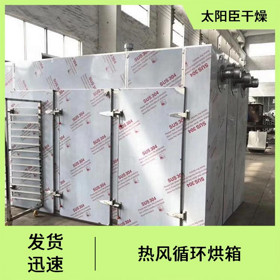 TaYaCn Drying Large CT-C series hot air circulation oven