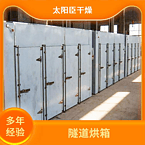 TaYaCn Drying Wet chili pepper CT-C series hot air circulation oven