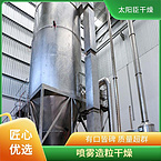 TaYaCn Drying Pumpkin powder LPG Series High Speed ​​Centrifugal Spray Dryer