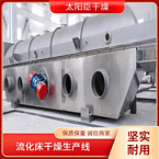 TAYACN Drying Internal heating ZLG series vibration fluidized bed dryer