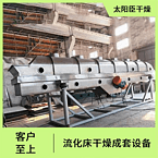 TAYACN Drying Anhydrous sodium chloride ZLG series vibration fluidized bed dryer