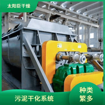 TAYACN Drying Potassium rock JYG series hollow blade dryer