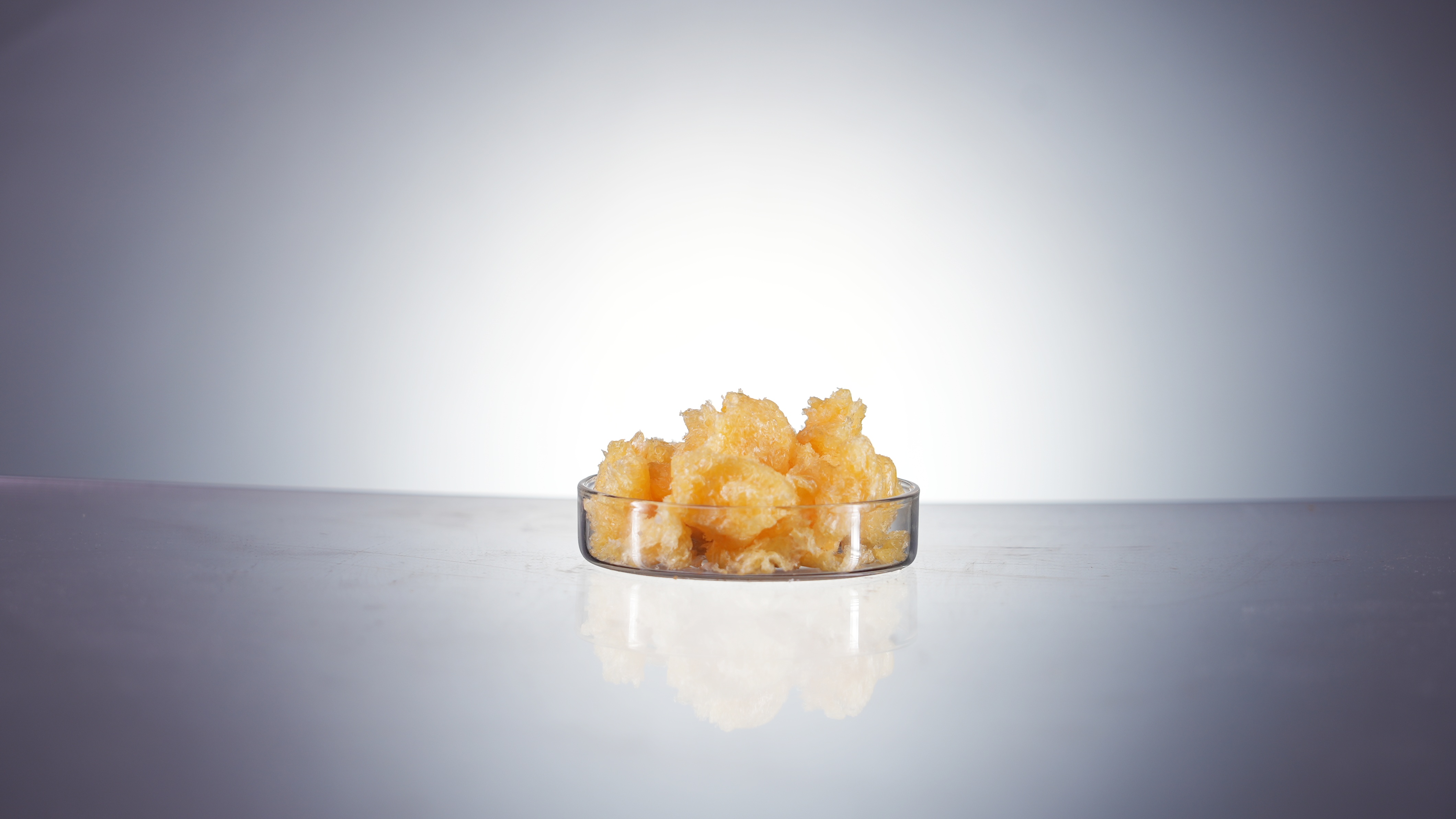 Soya Phospholipids 80% PC