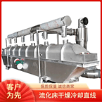TAYACN Drying Cosmetics raw materials ZLG series vibration fluidized bed dryer