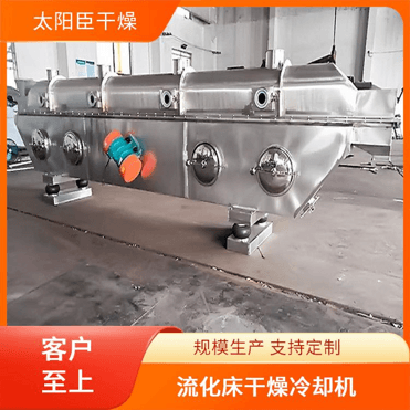 TAYACN Drying 5SP resin ZLG series vibration fluidized bed dryer