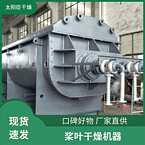TAYACN Drying Sepiolite clay JYG series hollow blade dryer