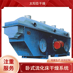 TAYACN Drying Magnesium chloride particles ZLG series vibration fluidized bed dryer