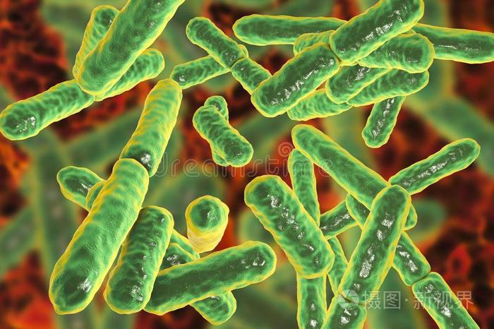Probiotic strains and blends