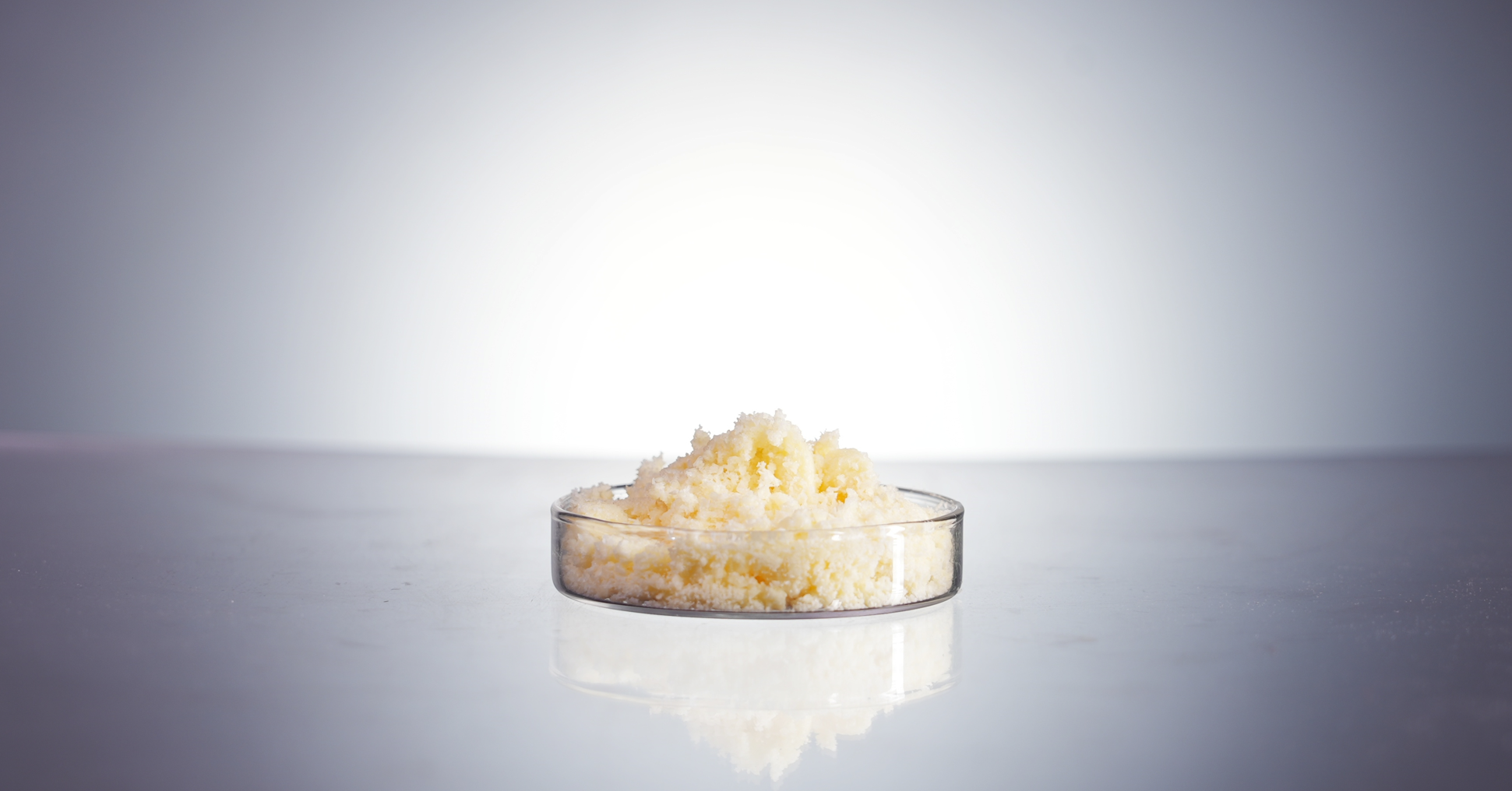 Soya Phospholipids 98% PC