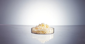 Soya Phospholipids 98% PC
