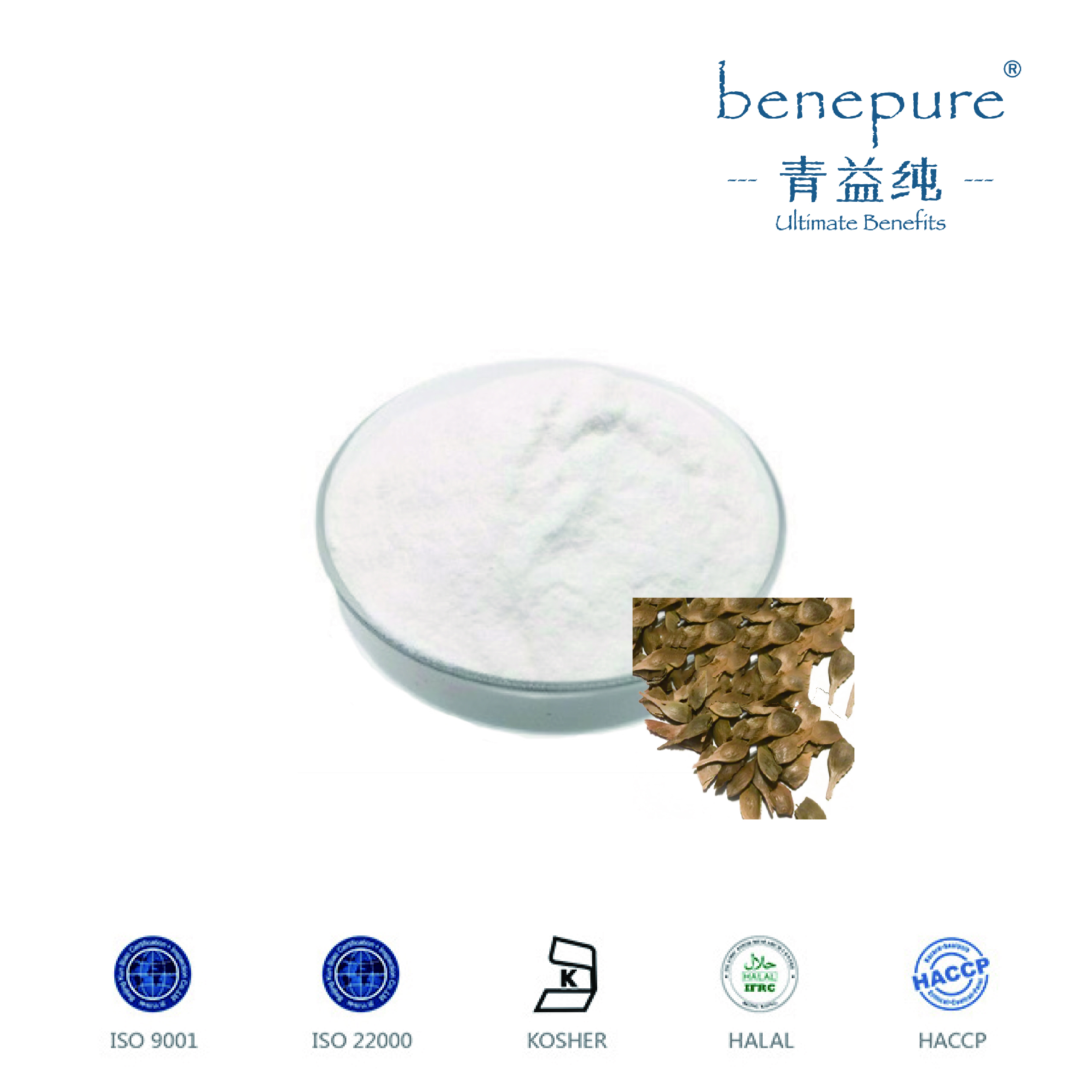 NERVONIC ACID