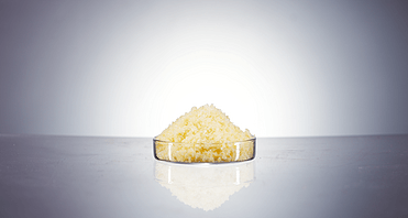 Soya Phospholipids 95% PC