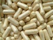 Probiotic capsules in bulk OEM