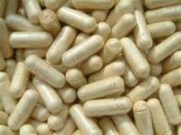 Probiotic capsules in bulk OEM