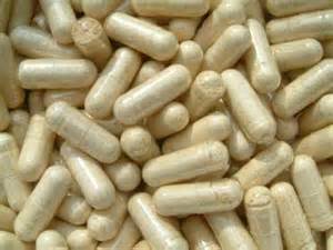 Probiotic capsules in bulk OEM