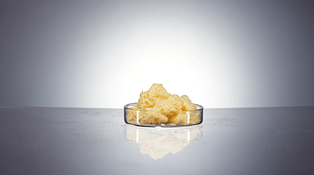Soya Phospholipids 90% PC