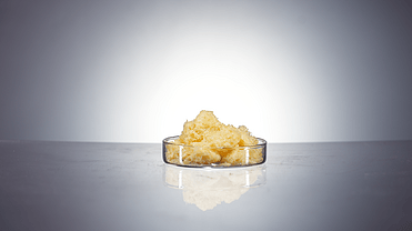 Soya Phospholipids 90% PC