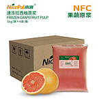NFC Frozen Grapefruit Pulp