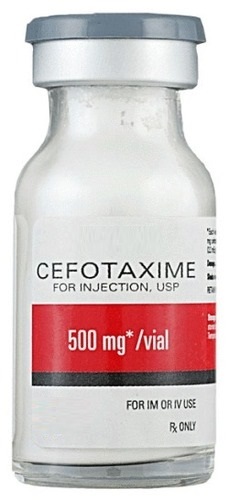 Cefotaxime for injection 500mg
