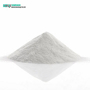 Ampicillin Sodium