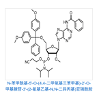 2’-O-Methyl-rA(N-Bz)phosphoramidite