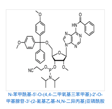 2’-O-Methyl-rA(N-Bz)phosphoramidite