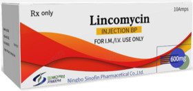 Lincomycin Injection  600mg/2ml