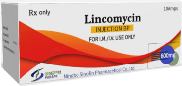 Lincomycin Injection  600mg/2ml