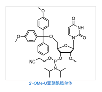 Dmt-2'-f-dc(ac) amidite