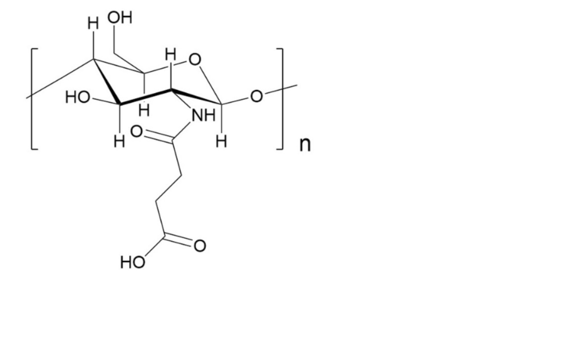 Succinal Chitosan
